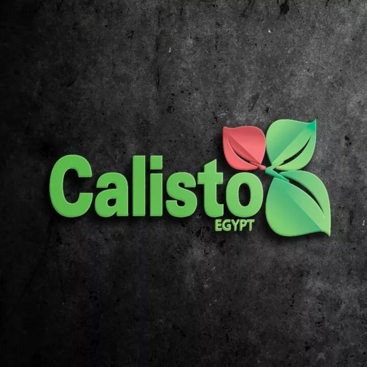 calisto-logo-taqyeem.webp