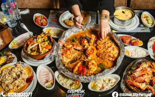 asmak-city-image1-taqyeem.jpg