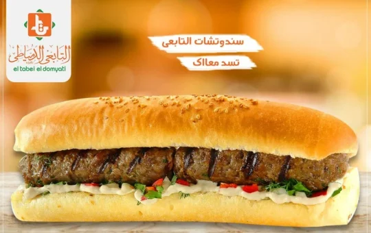 el-tabei-el-domyati-image1-taqyeem.jpg