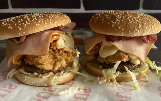 famous-burger-image1-taqyeem.jpg