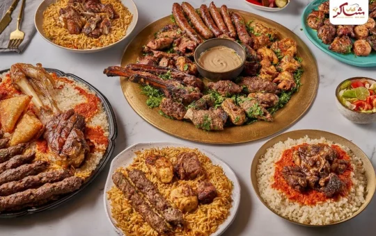 kabab-shaker-image1-taqyeem.jpg